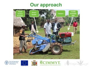 Sustainable intensification of smallholder farming systems in zambia | PDF