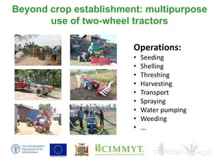 Sustainable intensification of smallholder farming systems in zambia | PDF