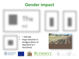 Sustainable intensification of smallholder farming systems in zambia | PDF