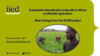 www.iied.org @IIED
Barbara Adolph, IIED
(Barbara.adolph@iied.org)
Sustainable intensification trade-offs inAfrican
smallholder agriculture:
Main findings from the SITAM project
 