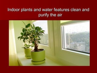 Indoor plants and water features clean andIndoor plants and water features clean and
purify the airpurify the air
 