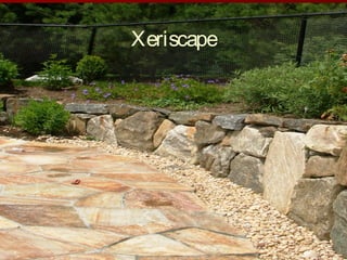 Xeriscape
 