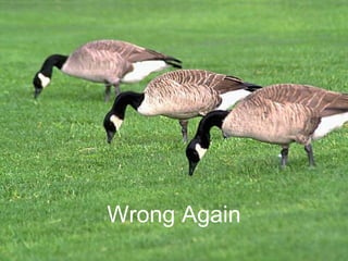 Wrong Again
 
