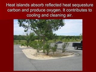 Heat islands absorb reflected heat sequestureHeat islands absorb reflected heat sequesture
carbon and produce oxygen. It contributes tocarbon and produce oxygen. It contributes to
cooling and cleaning air.cooling and cleaning air.
 