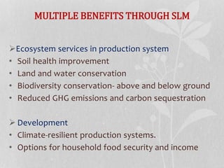 MULTIPLE BENEFITS THROUGH SLM
Ecosystem services in production system
• Soil health improvement
• Land and water conservation
• Biodiversity conservation- above and below ground
• Reduced GHG emissions and carbon sequestration
 Development
• Climate-resilient production systems.
• Options for household food security and income
 
