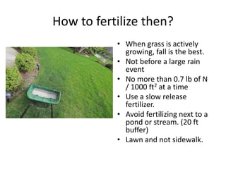 Sustainable Lawn Care Presentation | PPTX