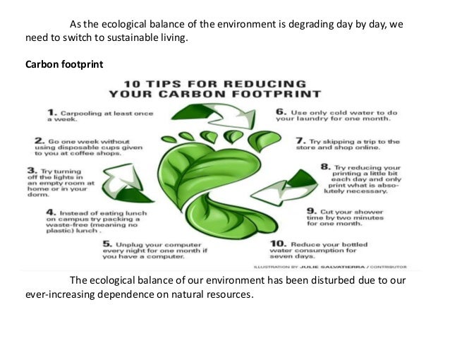 Sustainable living ideas