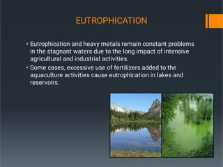Sustainable Management Approach In Rivers, Lakes And reservoirs.pdf