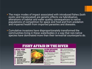 Sustainable Management Approach In Rivers, Lakes And reservoirs.pdf