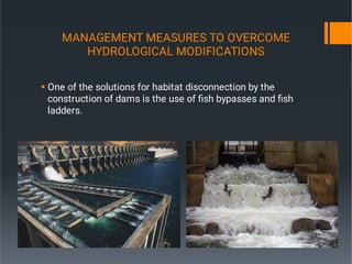 Sustainable Management Approach In Rivers, Lakes And reservoirs.pdf