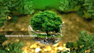 Approaches to Sustainability
 