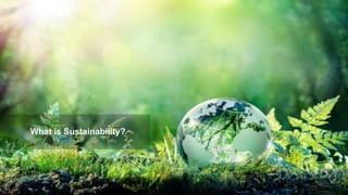 What is Sustainability?
 