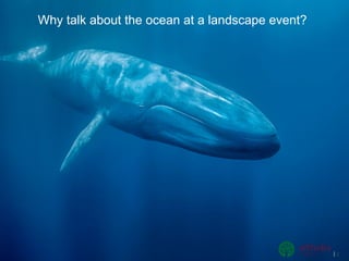 2
Why talk about the ocean at a landscape event?
 