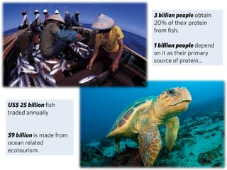 3
US$ 25 billion fish
traded annually
$9 billion is made from
ocean related
ecotourism.
3 billion people obtain
20% of the...