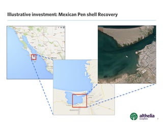 The Althelia Sustainable Ocean Fund