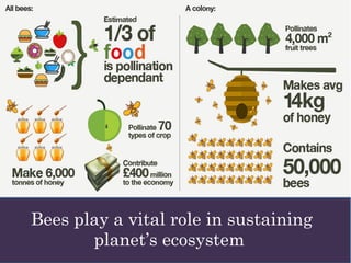 Bees play a vital role in sustaining
planet’s ecosystem
 