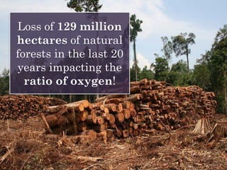 Loss of 129 million
hectares of natural
forests in the last 20
years impacting the
ratio of oxygen!
 