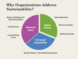 Why Organizations Address
Sustainability?
 