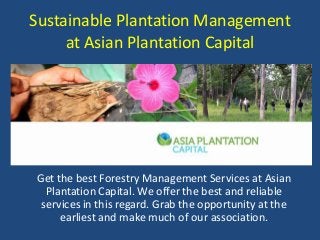Sustainable Plantation Management
at Asian Plantation Capital
Get the best Forestry Management Services at Asian
Plantation Capital. We offer the best and reliable
services in this regard. Grab the opportunity at the
earliest and make much of our association.
 