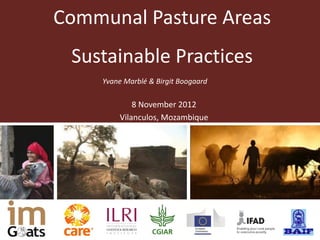 Communal Pasture Areas
 Sustainable Practices
    Yvane Marblé & Birgit Boogaard

            8 November 2012
        Vilanculos, Mozambique
 