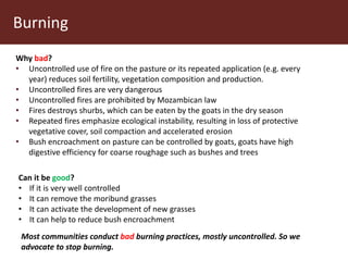 Communal pasture areas: Sustainable practices