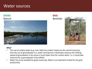 Communal pasture areas: Sustainable practices