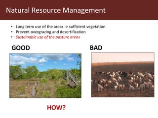 Communal pasture areas: Sustainable practices