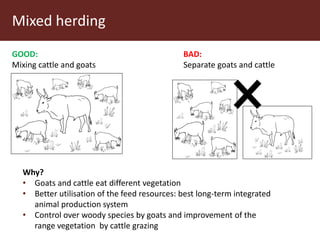 Communal pasture areas: Sustainable practices
