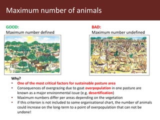 Communal pasture areas: Sustainable practices