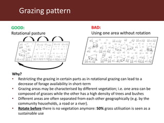 Communal pasture areas: Sustainable practices