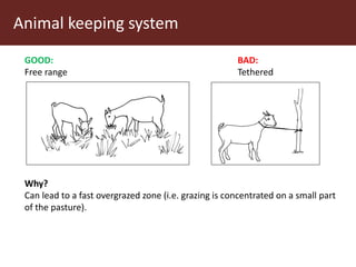 Communal pasture areas: Sustainable practices