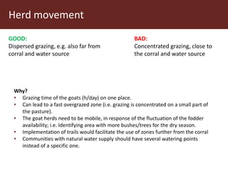 Communal pasture areas: Sustainable practices
