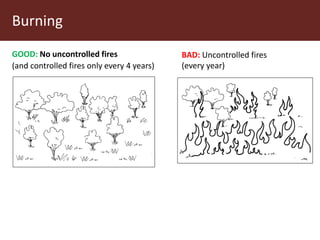Communal pasture areas: Sustainable practices