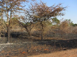 Communal pasture areas: Sustainable practices