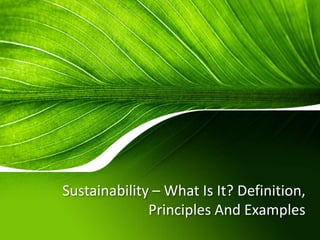 Sustainability – What Is It? Definition,
Principles And Examples
 
