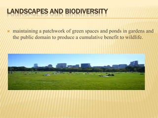 LANDSCAPES AND BIODIVERSITY


maintaining a patchwork of green spaces and ponds in gardens and
the public domain to produce a cumulative benefit to wildlife.

 