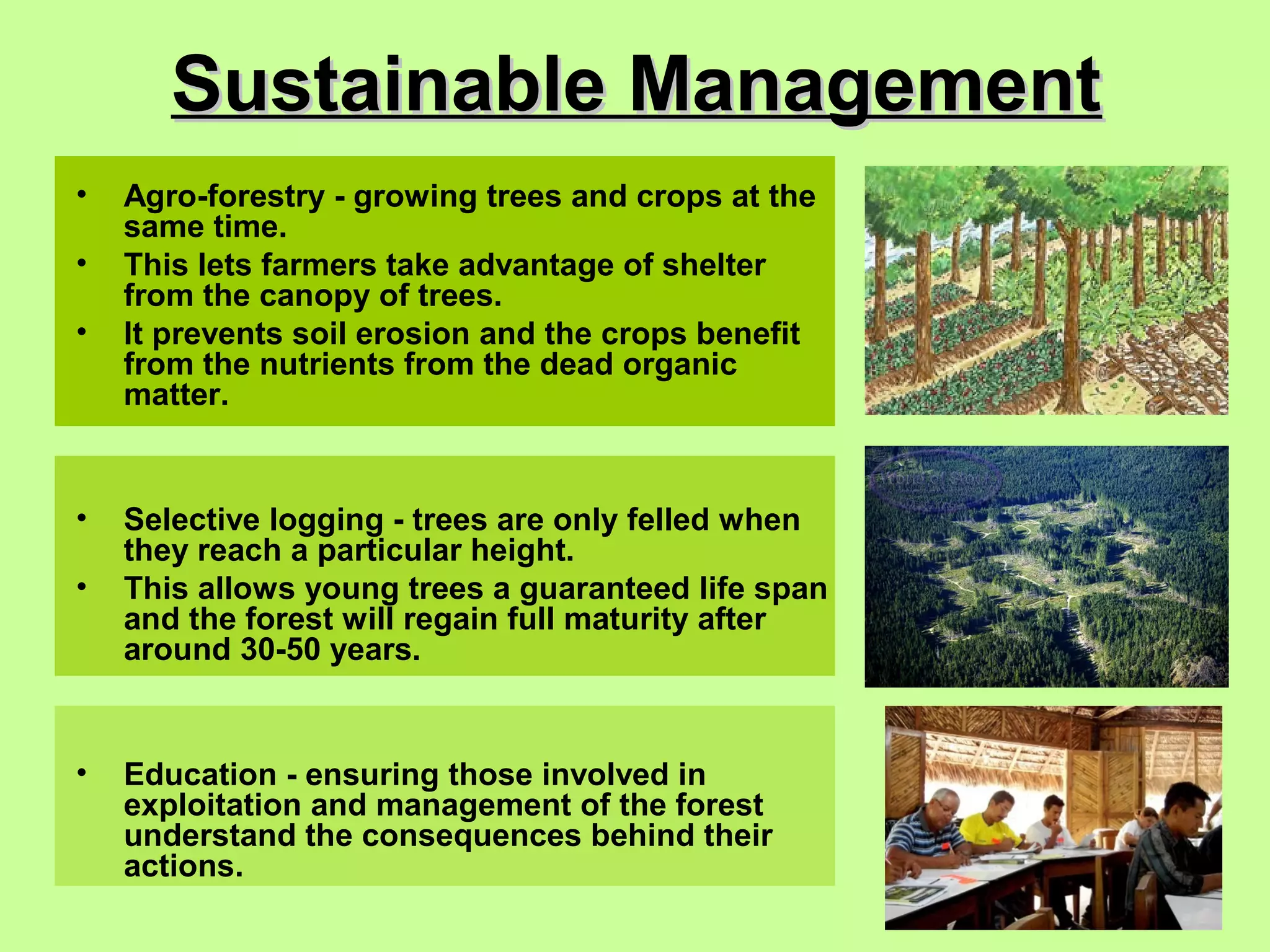 Is Sustainable Rainforest Use Possible?  The Answer Will Surprise You - dv0jtvq