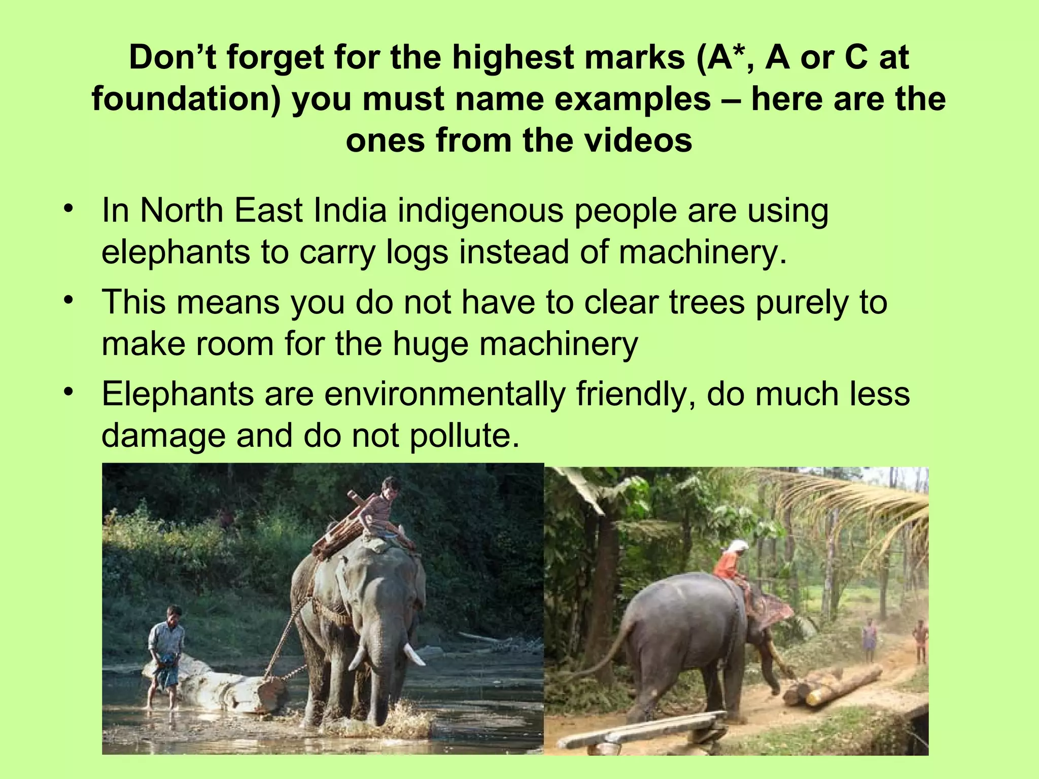 Is Sustainable Rainforest Use Possible?  The Answer Will Surprise You - frxr0z1