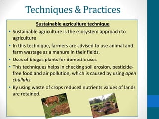 Techniques & Practices
                Sustainable agriculture technique
•   Sustainable agriculture is the ecosystem approach to
    agriculture
•   In this technique, farmers are advised to use animal and
    farm wastage as a manure in their fields.
•   Uses of biogas plants for domestic uses
•   This techniques helps in checking soil erosion, pesticide-
    free food and air pollution, which is caused by using open
    chullahs.
•   By using waste of crops reduced nutrients values of lands
    are retained.
 