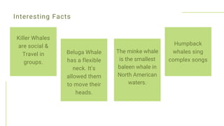 Save the Whales-Engaged Species. | PPT | Free Download