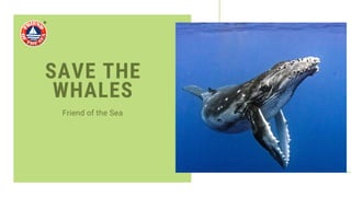 SAVE THE
WHALES
Friend of the Sea
 