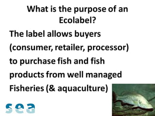 What is the purpose of an
              Ecolabel?
The label allows buyers
(consumer, retailer, processor)
to purchase fish and fish
products from well managed
Fisheries (& aquaculture)
 