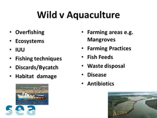 Wild v Aquaculture
•   Overfishing          • Farming areas e.g.
•   Ecosystems             Mangroves
•   IUU                  • Farming Practices
•   Fishing techniques   • Fish Feeds
•   Discards/Bycatch     • Waste disposal
•   Habitat damage       • Disease
                         • Antibiotics
 