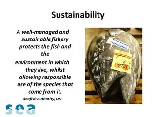 Sustainability
A well-managed and
   sustainable fishery
  protects the fish and
            the
environment in which
     they live, whilst
  allowing responsible
 use of the species that
      come from it.
   Seafish Authority, UK
 