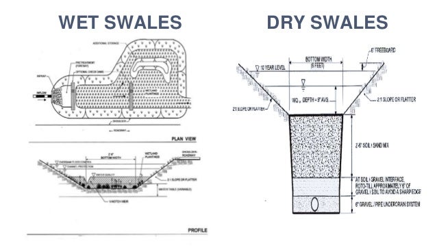 Natural Process Vs Dry Process Natural Process Vs Dry Process