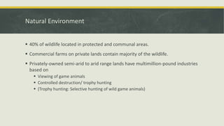 Natural Environment
 40% of wildlife located in protected and communal areas.
 Commercial farms on private lands contain majority of the wildlife.
 Privately-owned semi-arid to arid range lands have multimillion-pound industries
based on
 Viewing of game animals
 Controlled destruction/ trophy hunting
 (Trophy hunting: Selective hunting of wild game animals)
 