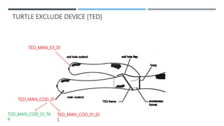 Sustainable trawl fishing and sampling methodology | PPTX