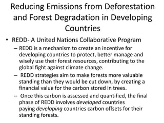 Sustainable use of tropical rainforests | PPTX