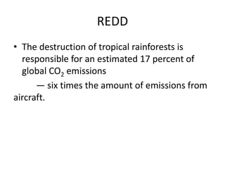 Sustainable use of tropical rainforests | PPTX