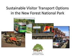 Sustainable Visitor Transport Options in the New Forest National Park 